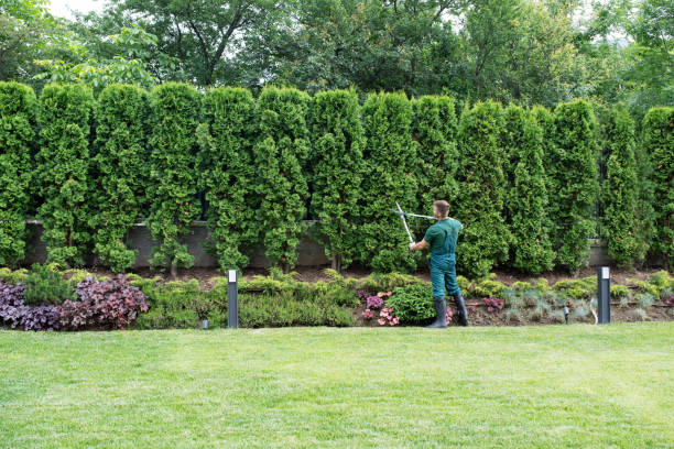 Best Lawn Watering Services  in Beacon, NY